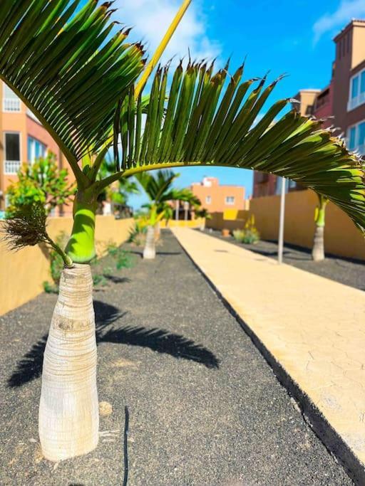 Apartamento Casa Bamboo Corralejo, Espacioso, Piscina Y Parking מראה חיצוני תמונה