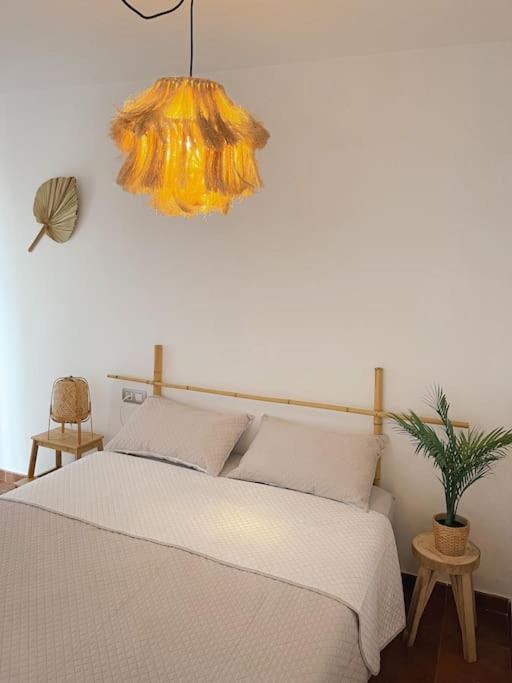 Apartamento Casa Bamboo Corralejo, Espacioso, Piscina Y Parking מראה חיצוני תמונה