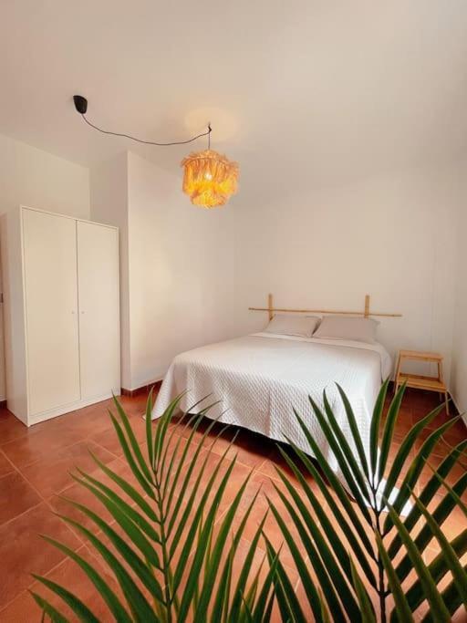 Apartamento Casa Bamboo Corralejo, Espacioso, Piscina Y Parking מראה חיצוני תמונה