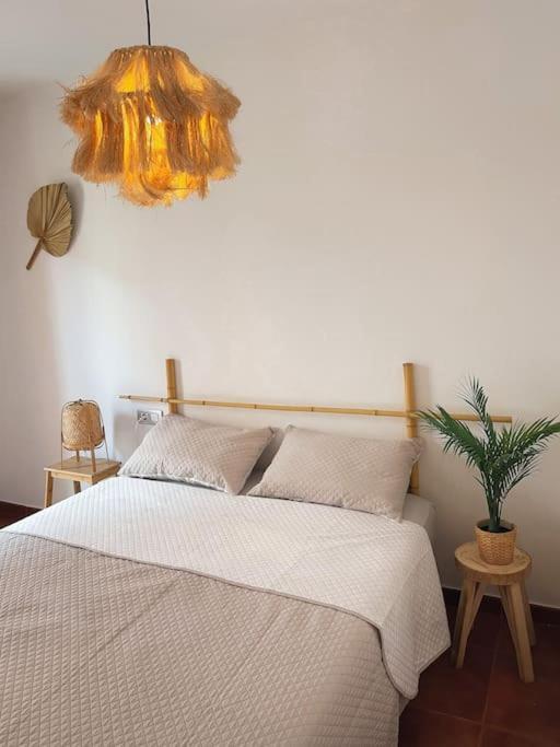 Apartamento Casa Bamboo Corralejo, Espacioso, Piscina Y Parking מראה חיצוני תמונה