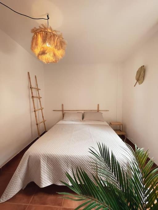 Apartamento Casa Bamboo Corralejo, Espacioso, Piscina Y Parking מראה חיצוני תמונה