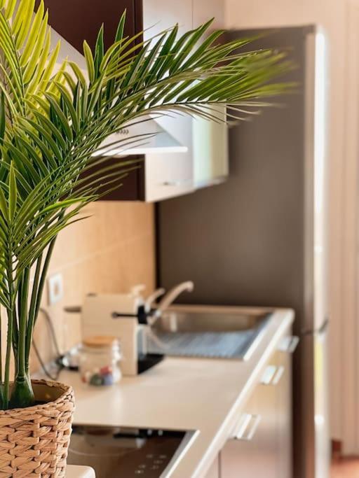 Apartamento Casa Bamboo Corralejo, Espacioso, Piscina Y Parking מראה חיצוני תמונה