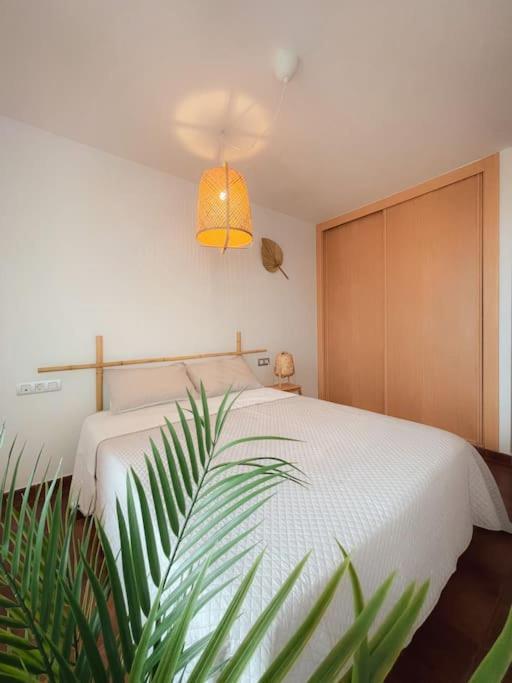 Apartamento Casa Bamboo Corralejo, Espacioso, Piscina Y Parking מראה חיצוני תמונה